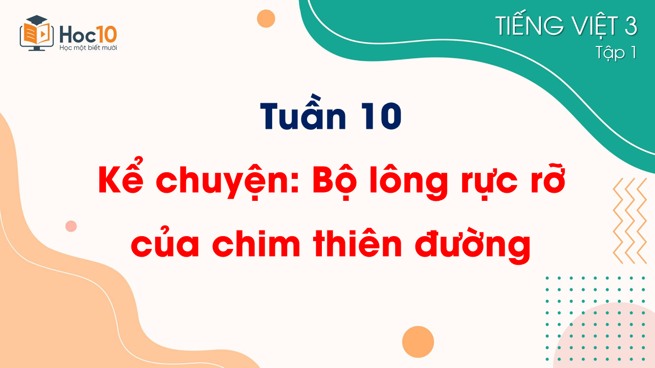 Tuần 10 - Kể chuyện Bộ lông rực rỡ của chim thiên đường